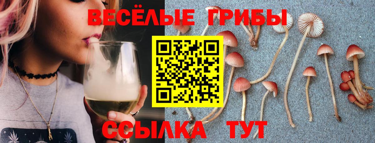 МАРИХУАНА  Новозыбков  Вход с VPN  Меф МЯУ МЯУ кристаллы  ГАШ 