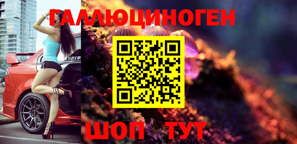 Псилоцибиновые грибы Cubensis Новозыбков