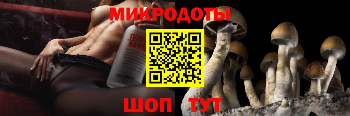 Псилоцибиновые грибы прущие грибы  Галлюциногенные грибы ЛСД  Вход с VPN  где купить наркоту  Новозыбков 